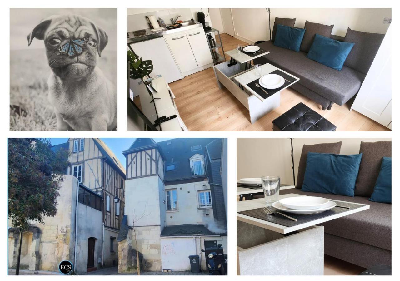 "Colbert Studio" Coeur De Ville - Cathedrale Saint Gatien Tours Dış mekan fotoğraf